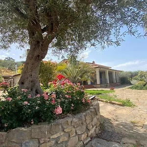 Russo Caltanissetta